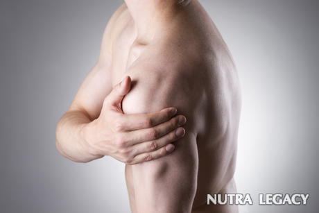 oblique-muscle