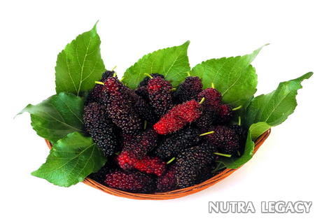 Phytoestrogen Supplements Phytoestrogen Supplements