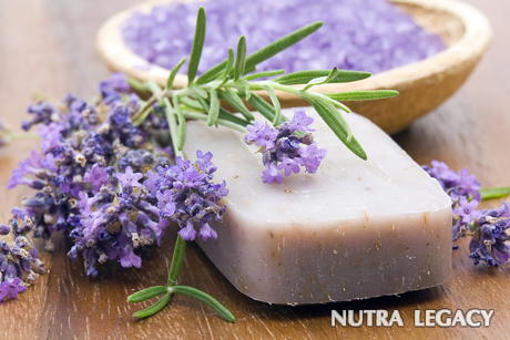 Phytotherapy Phytotherapy