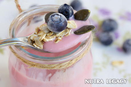 Probiotics And Prebiotics Probiotics And Prebiotics