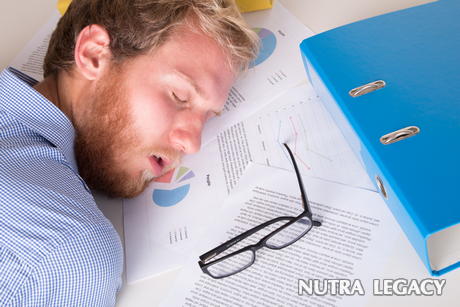 Sleep Research Sleep Research