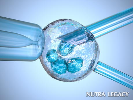 Stem Cells Stem Cells