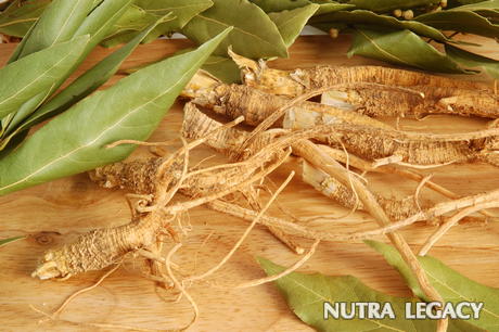 Benefits of Ginseng