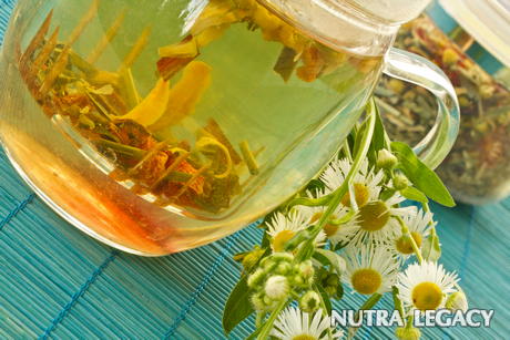 Phytoestrogens And Menopause