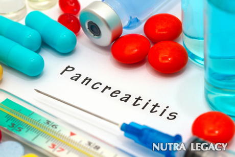 The Pancreatitis Cure Myth The Pancreatitis Cure Myth
