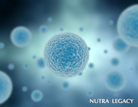 Prostate Cancer Myths Prostate Cancer Myths