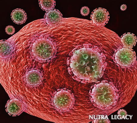 Flu