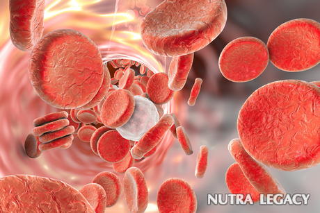 Treatment for Polycythemia Treatment for Polycythemia