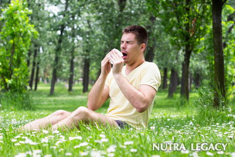Types of Allergy Types of Allergy