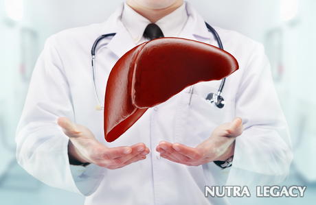 Types of Liver Cancer