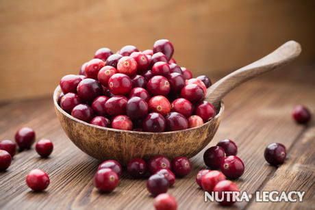 Urinary Tract Infections Urinary Tract Infections