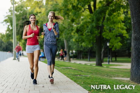 Cardiovascular Exercises Cardiovascular Exercises
