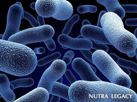 Viral and Bacterial Infections Viral and Bacterial Infections