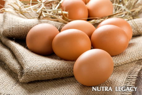 Vitamin E Supplement Vitamin E Supplement