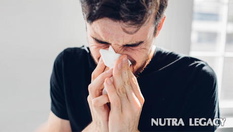 Causes Of Chronic Sinus Infection Causes Of Chronic Sinus Infection