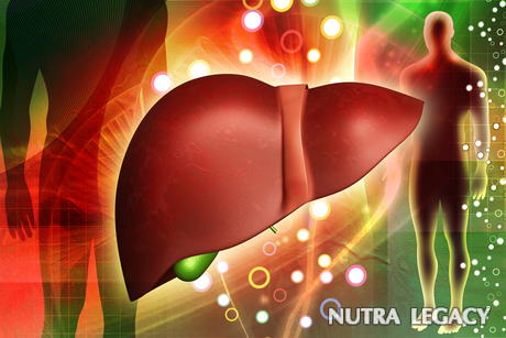 Liver Health Facts Liver Health Facts