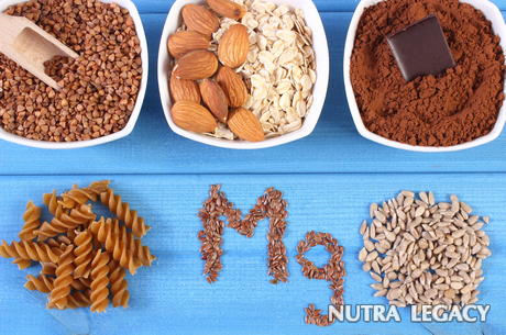 Magnesium Immune System Magnesium Immune System