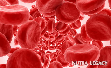 Chemoprevention Chemoprevention