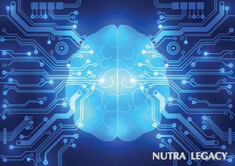 What is Nanotechnology What is Nanotechnology
