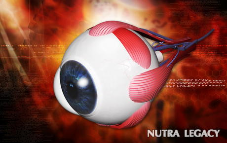 What Is Proliferative Retinopathy What Is Proliferative Retinopathy