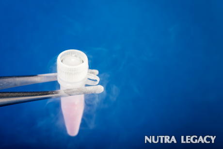 What Is Stem Cells Controversy What Is Stem Cells Controversy