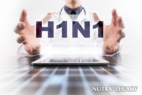 H1n1 Meaning H1n1 Meaning