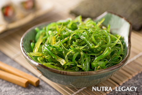 wild seaweed wild seaweed
